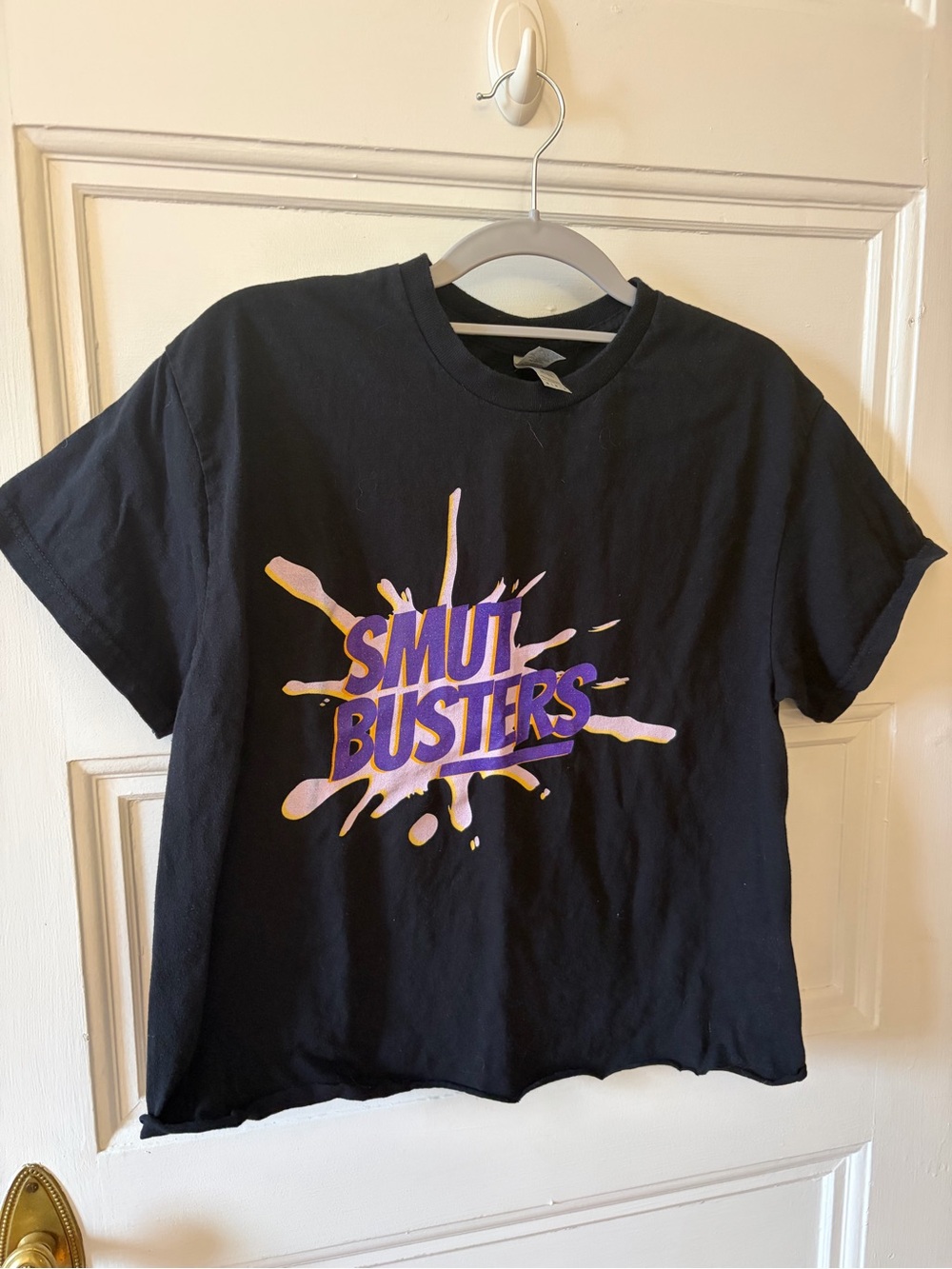 🌻“Smut Busters" Graphic Cropped Tee